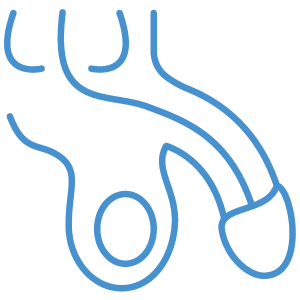 Non-Surgical <br>Penile Augmentation